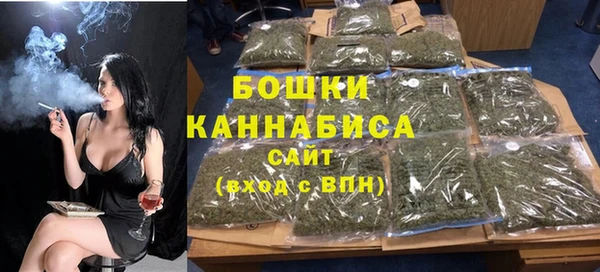 соль ск Новозыбков