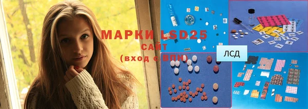 крисы Аркадак