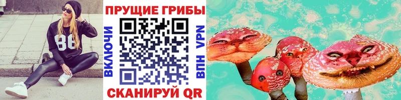 Псилоцибиновые грибы Cubensis  Сельцо 